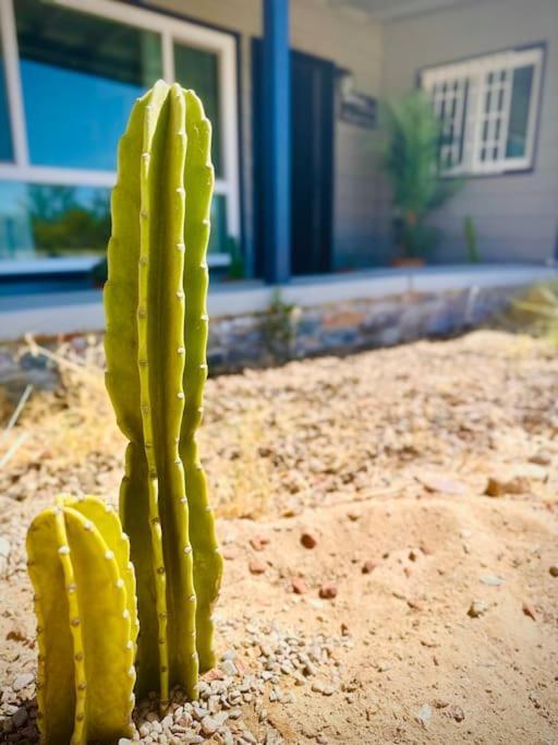 The Desert Monroe-Hot Tub-Firepit-Games-By Joshua Tree National Park Twentynine Palms Ngoại thất bức ảnh