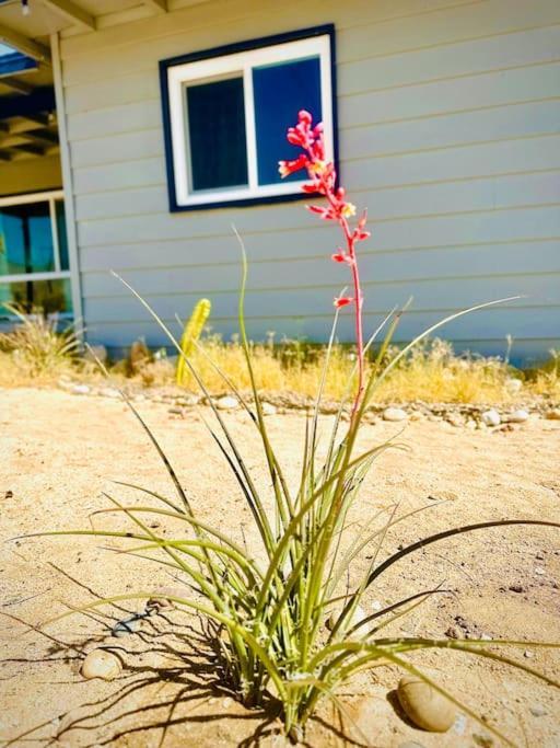The Desert Monroe-Hot Tub-Firepit-Games-By Joshua Tree National Park Twentynine Palms Ngoại thất bức ảnh